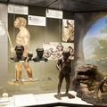 Фото с сайта <a href="http://www.darwinmuseum.ru/">Государственного Дарвиновского музея</a>