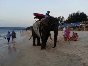  / Разъяренный слон подбросил в воздух решившую погладить его туристку
