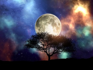Фото с сайта <a href="https://www.freepik.com/free-photo/3d-render-silhouette-tree-against-space-sky-with-moon_15887621.htm">Freepik</a>, image by kjpargeter / Сегодня жители Земли, которым повезет, смогут увидеть особую Луну
