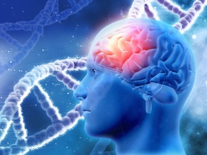 Фото с сайта <a href="https://www.freepik.com/free-photo/human-brain_936365.htm">Freepik</a>, image by kjpargeter / Ученые обнаружили генетическую чудо-мутацию, защищающую мозг от болезни Альцгеймера
