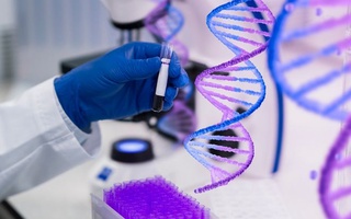 В Великобритании впервые в мире вводится в практику терапия на основе технологии CRISPR