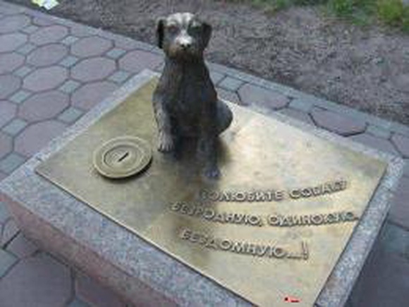 В центре Оренбурга появится памятник бездомной собаке