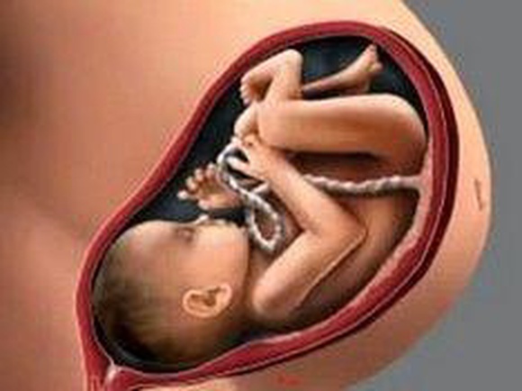 Ученые: Ребенок в утробе матери запоминает звуки за шесть недель до рождения