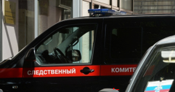 В Мурманске завели дело по факту избиения школьницы подростками