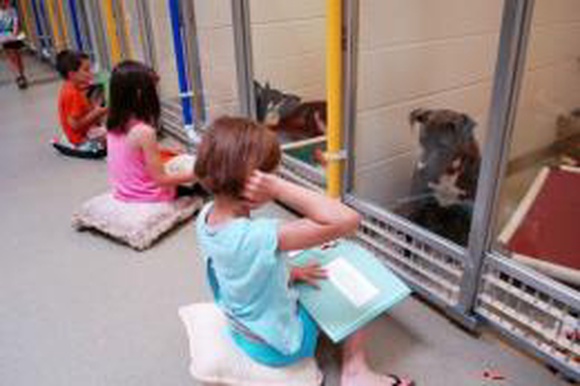 Дети читают вслух в приюте для животных, чтобы помочь запуганным и застенчивым собакам адаптироваться