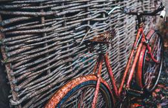 В крупных городах Китая образовались стихийные кладбища велосипедов