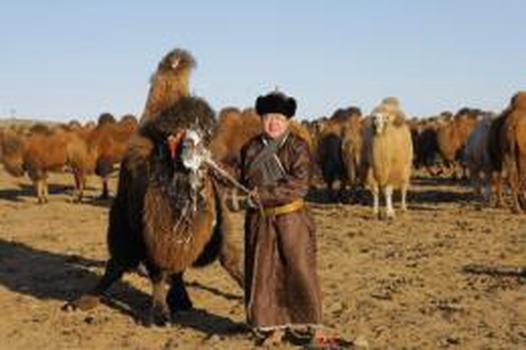 Президент Монголии раскрыл свои доходы