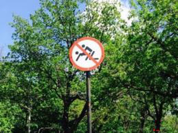 На территории РФ появился дорожный знак «Секс запрещен»