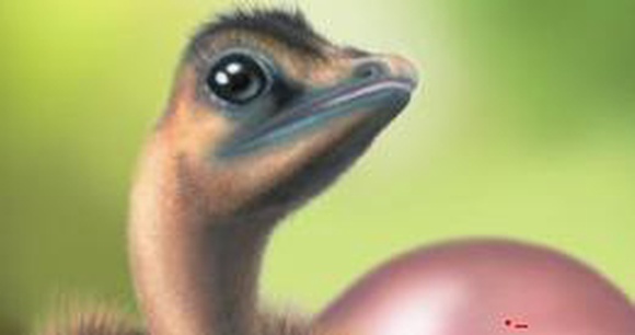 У динозавров были цветные яйца, выяснили палеонтологи