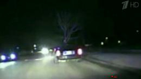 В штате Иллинойс полицейские остановили машину с торчащим из капота четырехметровым деревом