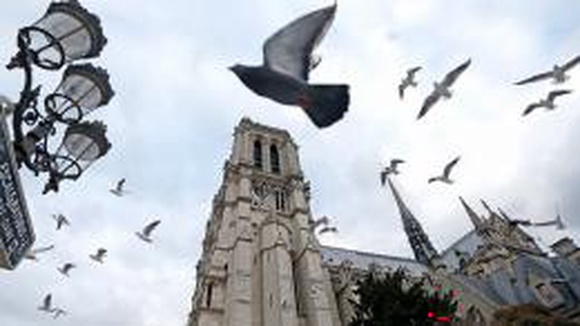 Учёные сообщили о сокращении популяции птиц на треть за последние 15 лет во Франции