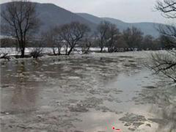 Закарпатская область: сильные дожди вызвали повышение уровня воды в реках